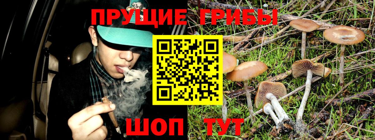 Псилоцибиновые грибы GOLDEN TEACHER  купить   Ханты-Мансийск  Вход с VPN 