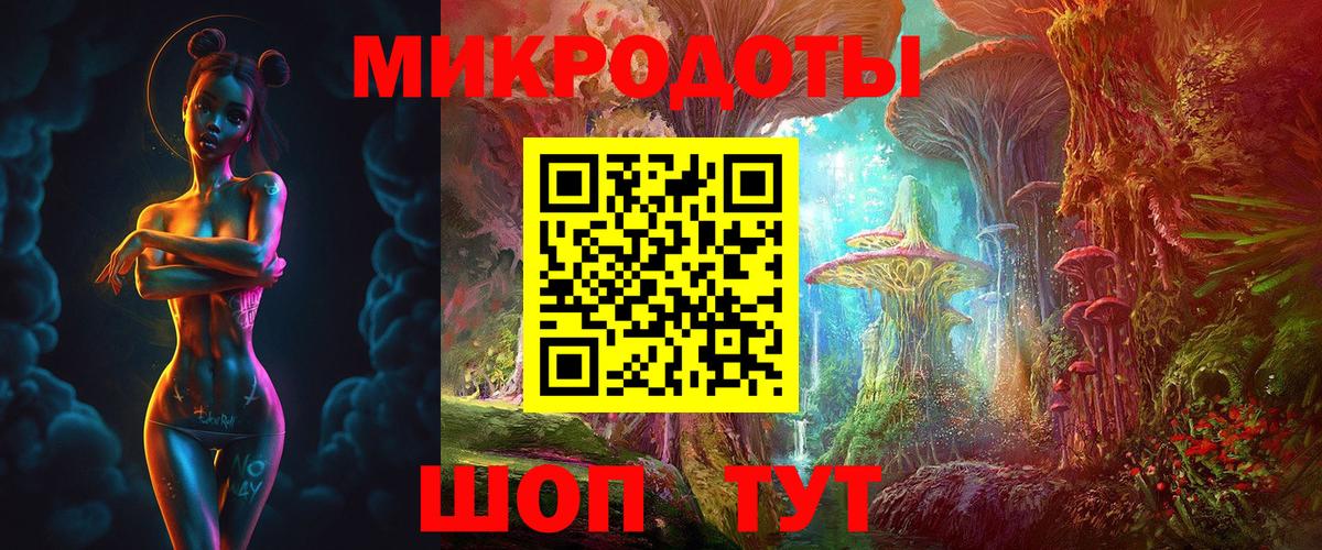 Псилоцибиновые грибы Psilocybe Ханты-Мансийск